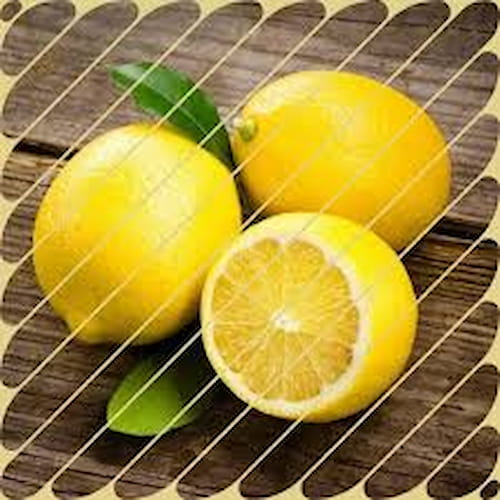 تصویر 3 از اسانس لیمو خوراکی با خلوص بالا